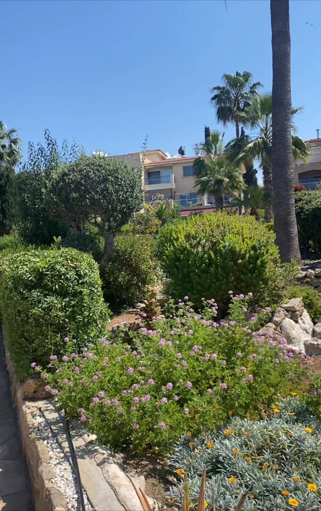 Newly Renovated- Regina Gardens 1, Venus Beach 500 M, Sea&Sunsets View, License Ooo7141 Paphos Buitenkant foto