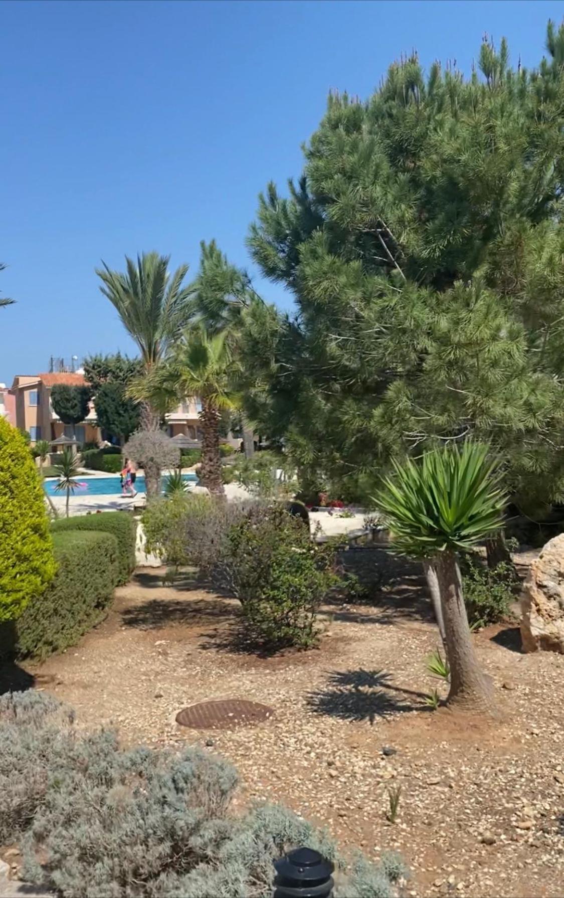 Newly Renovated- Regina Gardens 1, Venus Beach 500 M, Sea&Sunsets View, License Ooo7141 Paphos Buitenkant foto