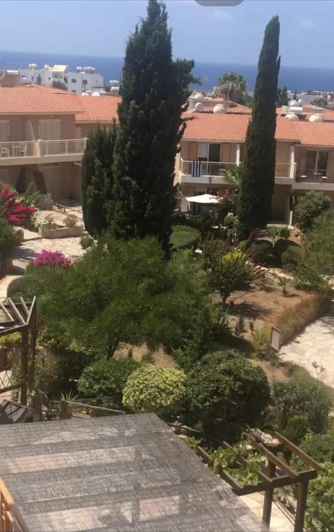Newly Renovated- Regina Gardens 1, Venus Beach 500 M, Sea&Sunsets View, License Ooo7141 Paphos Buitenkant foto