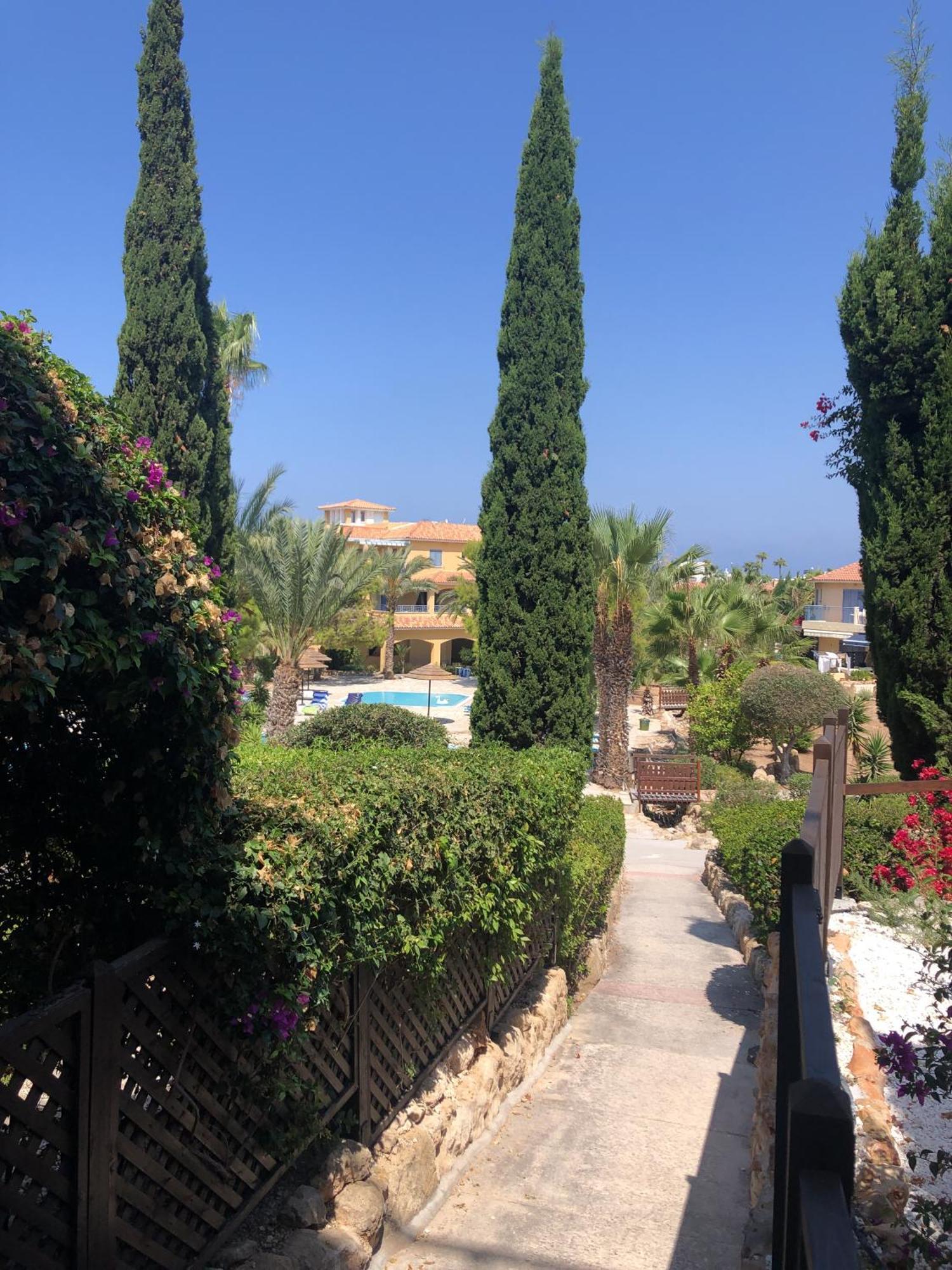 Newly Renovated- Regina Gardens 1, Venus Beach 500 M, Sea&Sunsets View, License Ooo7141 Paphos Buitenkant foto